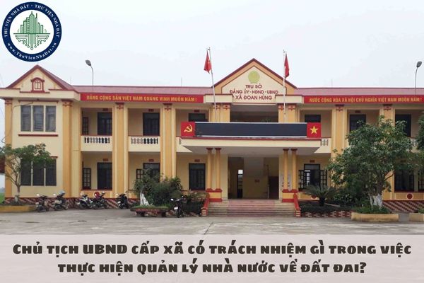 Chủ tịch UBND cấp xã có trách nhiệm gì trong việc thực hiện quản lý nhà nước về đất đai?