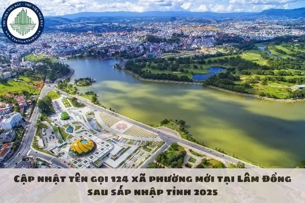 thuviennhadat.vn