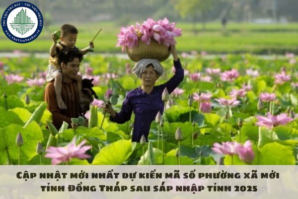 Cập nhật mới nhất dự kiến mã số phường xã mới tỉnh Đồng Tháp sau sáp nhập tỉnh 2025