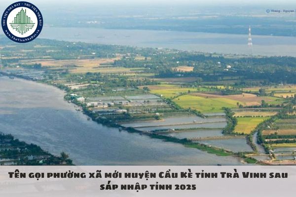 thuviennhadat.vn