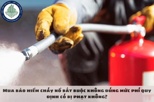 Mua bảo hiểm cháy nổ bắt buộc không đúng mức phí quy định có bị phạt không?
