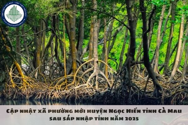 Cập nhật xã phường mới huyện Ngọc Hiển tỉnh Cà Mau sau sáp nhập tỉnh năm 2025