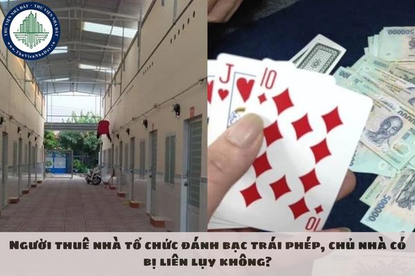 Người thuê nhà tổ chức đánh bạc trái phép, chủ nhà có bị liên lụy không?
