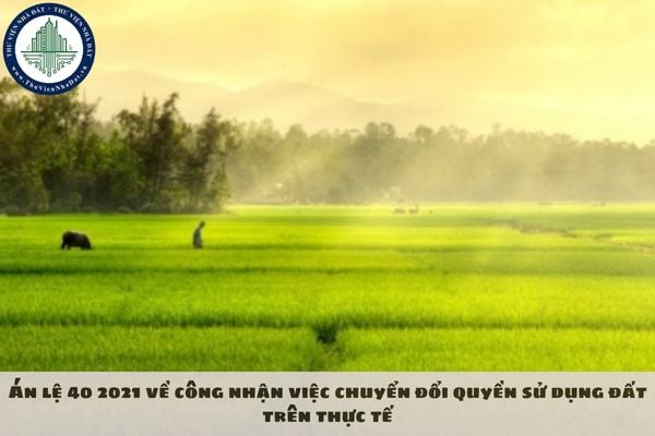 thuviennhadat.vn