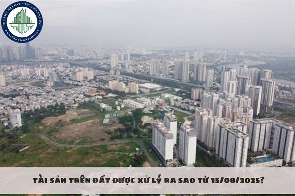 Khi bị thu hồi đất do không thực hiện nghĩa vụ tài chính, tài sản trên đất được xử lý ra sao từ 15/08/2025?