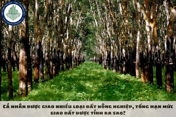 Cá nhân được giao nhiều loại đất nông nghiệp, tổng hạn mức giao đất được tính ra sao?