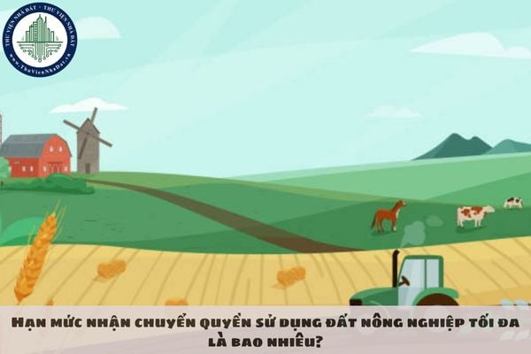 Hạn mức nhận chuyển quyền sử dụng đất nông nghiệp tối đa là bao nhiêu?