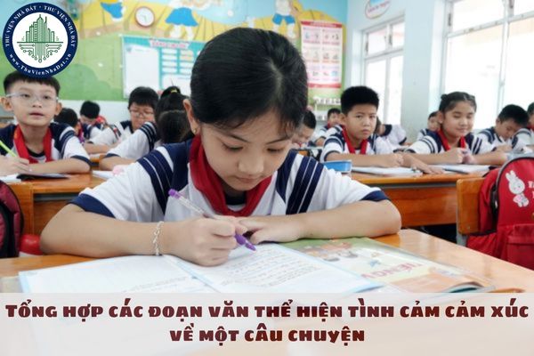 Tổng hợp các đoạn văn thể hiện tình cảm cảm xúc về một câu chuyện