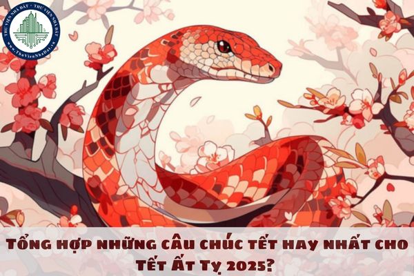 Tổng hợp những câu chúc tết hay nhất cho Tết Ất Tỵ 2025? Tết Ất Tỵ 2025 được nghỉ bao nhiêu ngày?