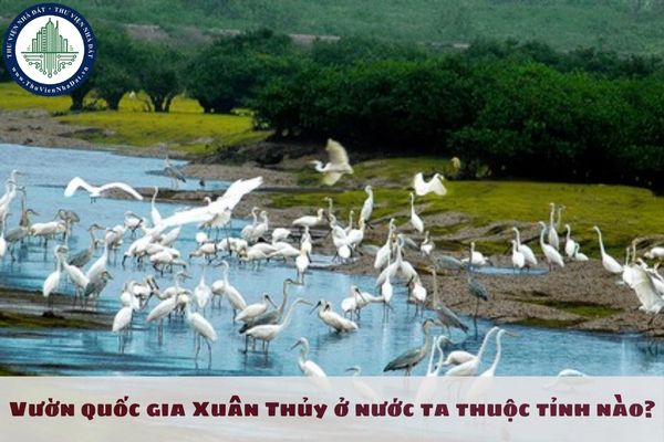 Vườn quốc gia Xuân Thủy ở nước ta thuộc tỉnh nào?