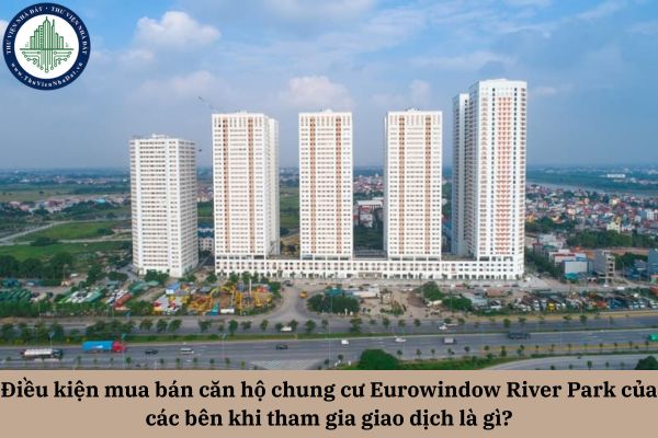 Điều kiện mua bán căn hộ chung cư Eurowindow River Park của các bên khi tham gia giao dịch là gì?