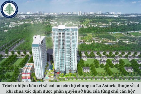 Trách nhiệm bảo trì và cải tạo căn hộ chung cư La Astoria thuộc về ai khi chưa xác định được phần quyền sở hữu của từng chủ căn hộ?