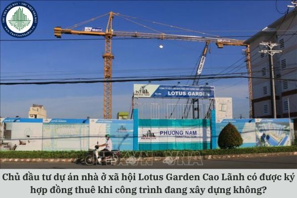 Chủ đầu tư dự án nhà ở xã hội Lotus Garden Cao Lãnh có được ký hợp đồng thuê khi công trình đang xây dựng không?