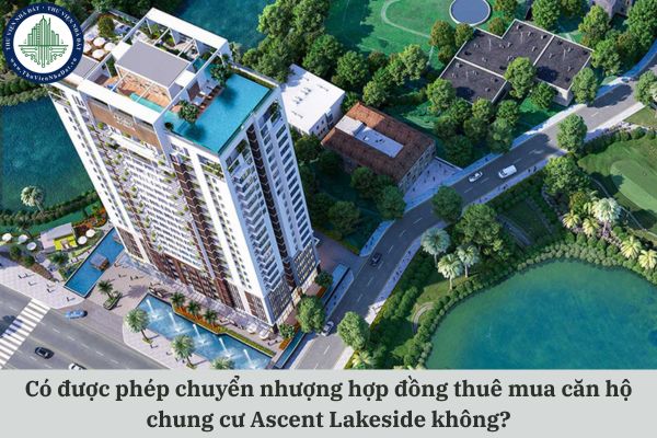 Có được phép chuyển nhượng hợp đồng thuê mua căn hộ chung cư Ascent Lakeside không?