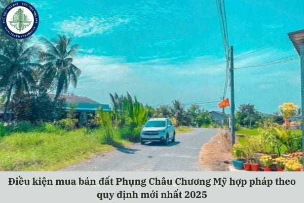 Điều kiện mua bán đất Phụng Châu Chương Mỹ hợp pháp theo quy định mới nhất 2025 là gì?