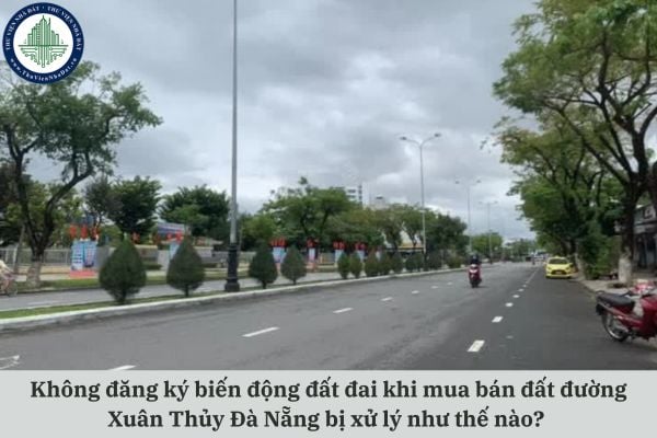 thuviennhadat.vn