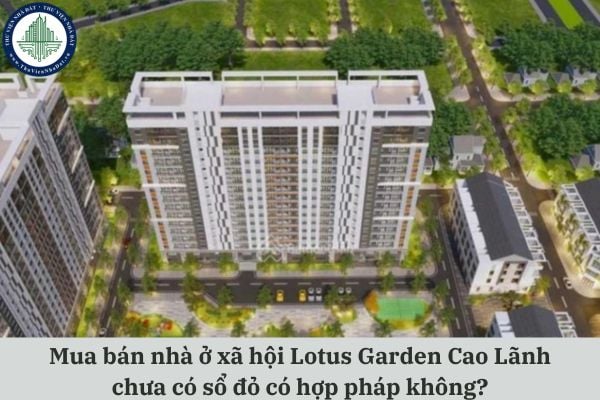 Mua bán nhà ở xã hội Lotus Garden Cao Lãnh chưa có sổ đỏ có hợp pháp không?