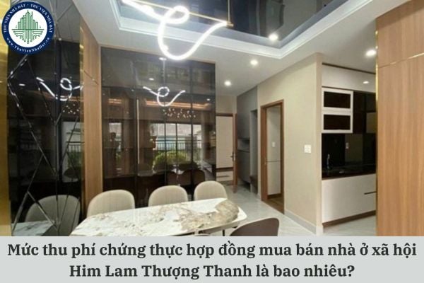 thuviennhadat.vn