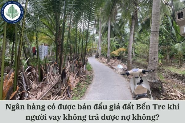 Ngân hàng có được bán đấu giá đất Bến Tre đang thế chấp khi người vay không trả được nợ không?