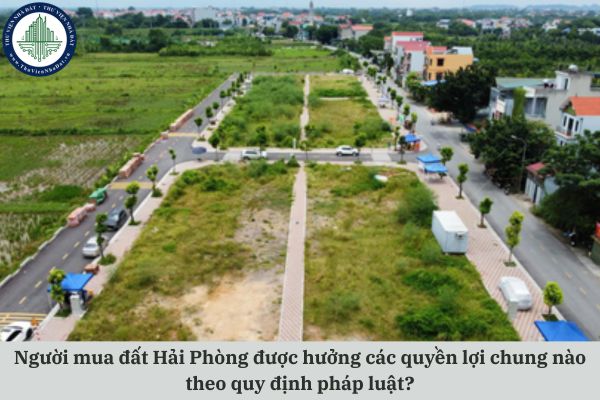 Người mua đất Hải Phòng được hưởng các quyền lợi chung nào theo quy định pháp luật?