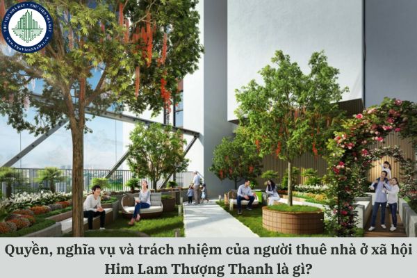 Quyền, nghĩa vụ và trách nhiệm của người thuê nhà ở xã hội Him Lam Thượng Thanh là gì?