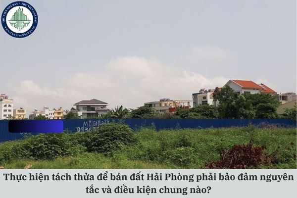 Thực hiện tách thửa để bán đất Hải Phòng phải bảo đảm nguyên tắc và điều kiện chung nào?
