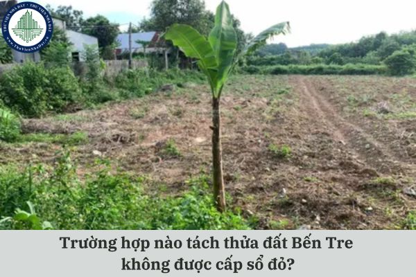 Trường hợp nào tách thửa đất Bến Tre không được cấp sổ đỏ?