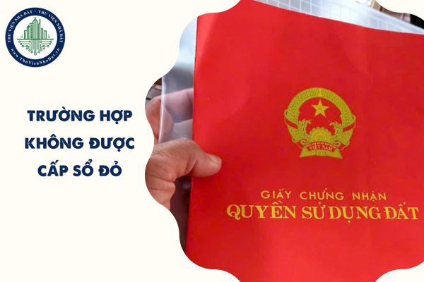 Trường hợp nào đất thuê lại không được cấp Sổ đỏ? 07 Trường hợp không được cấp sổ đỏ theo Luật Đất đai 2024