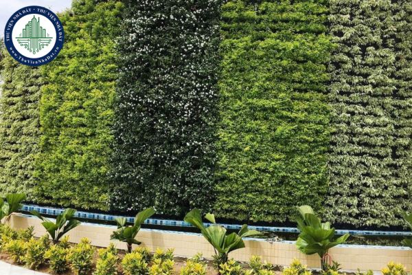 Gợi ý thiết kế vườn tường đứng cho không gian xanh