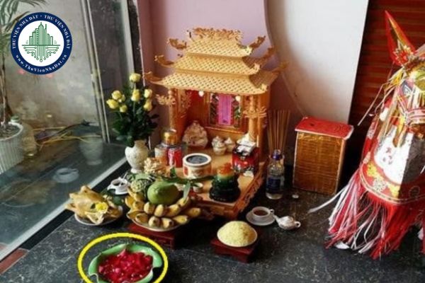 thuviennhadat.vn