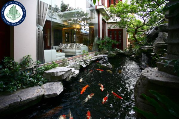 05 lợi ích khi xây hồ cá trong nhà? Những mẫu thiết kế hồ cá trong nhà đẹp năm 2025