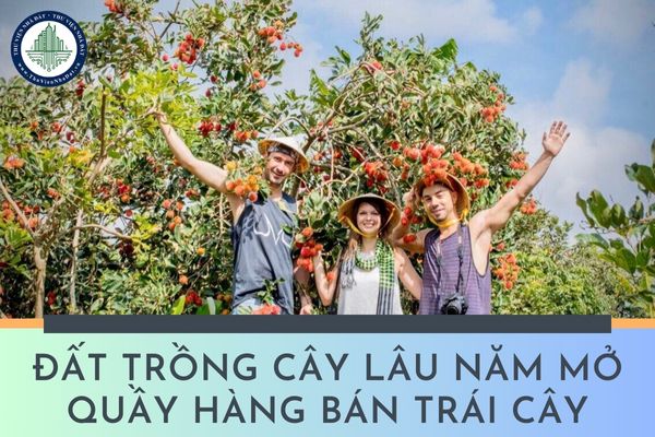 Tổ chức có đất trồng cây lâu năm nhưng sử dụng không hết phần diện tích đất đó có được mở quầy hàng bán trái cây không?