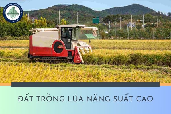 Đất trồng lúa năng suất cao được hỗ trợ như thế nào?