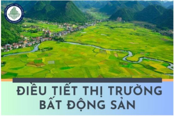 Khi nào thì Nhà nước tiến hành đề xuất điều tiết thị trường bất động sản?