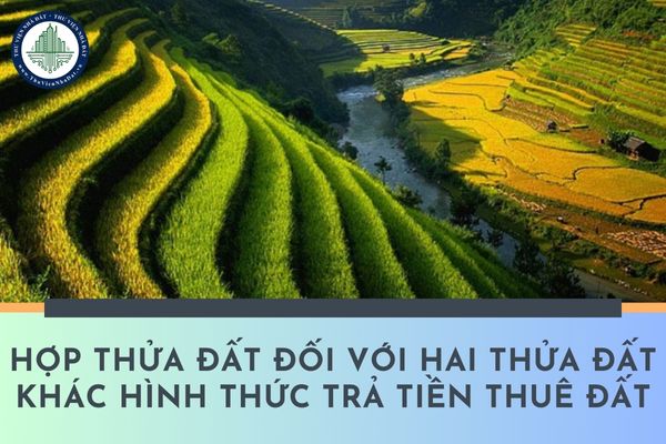 Cá nhân muốn hợp thửa đất đối với hai thửa đất khác hình thức trả tiền thuê đất có được không?