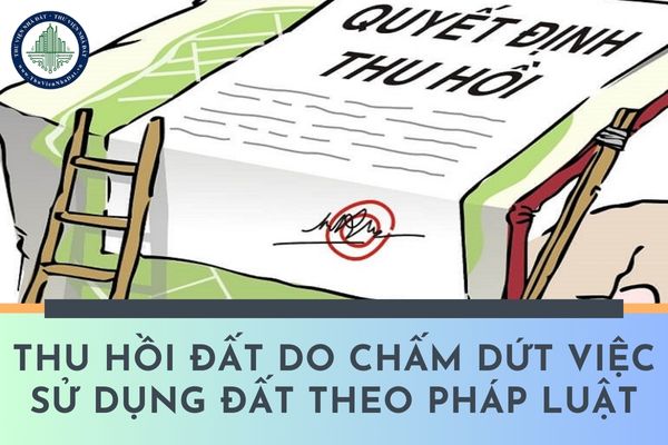 Thu hồi đất do chấm dứt việc sử dụng đất theo pháp luật có được bồi thường về đất không?