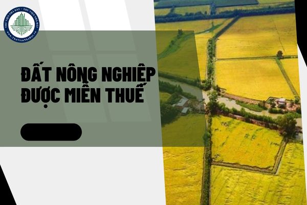 Người sử dụng đất nông nghiệp được miễn thuế trong trường hợp nào?