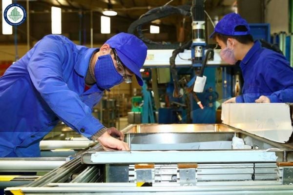 Đã có Quyết định 13/2025/QĐ-TTg sửa đổi bổ sung Quyết định 22/2021/QĐ-TTg về phân loại doanh nghiệp Nhà nước