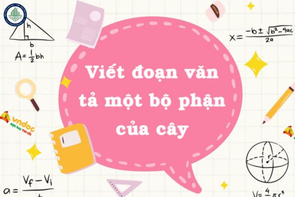 15 mẫu đoạn văn tả một bộ phận của cây mà em đã quan sát lớp 4