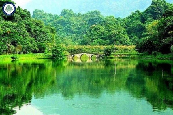 Vườn quốc gia Cúc Phương thuộc tỉnh nào? Vườn quốc gia Cúc Phương được mệnh danh là gì?