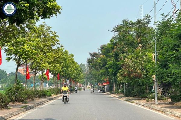 Xem chi tiết bản đồ xã Đại Thanh sau sáp nhập kể từ ngày 1/7