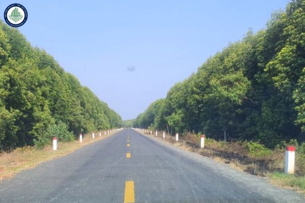Tuyến cao tốc Cà Mau Đất Mũi có chiều dài bao nhiêu?