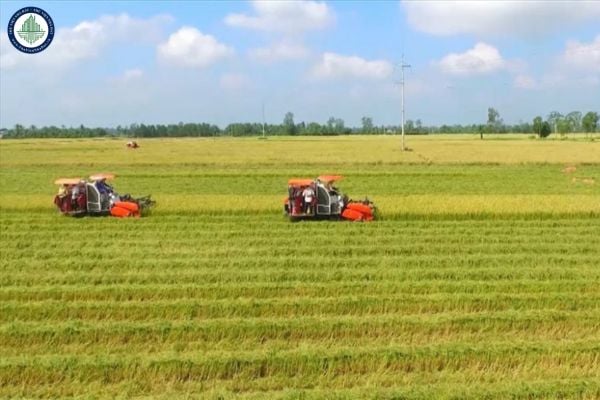 Giá đền bù đất nông nghiệp Hà Nam 2025