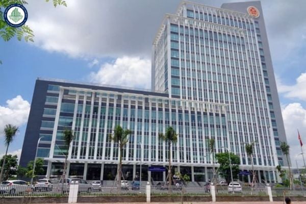 Địa chỉ trụ sở thuế cơ sở 13 TP.HCM ở đâu? Nộp hồ sơ khai thuế phi nông nghiệp tại TP.HCM ở đâu?