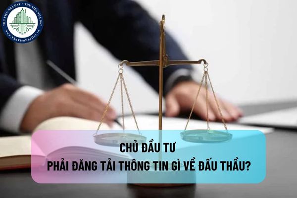 Chủ đầu tư phải đăng tải thông tin gì về đấu thầu? Chủ đầu tư không đăng tải thông tin về đấu thầu bị xử phạt bao nhiêu tiền?