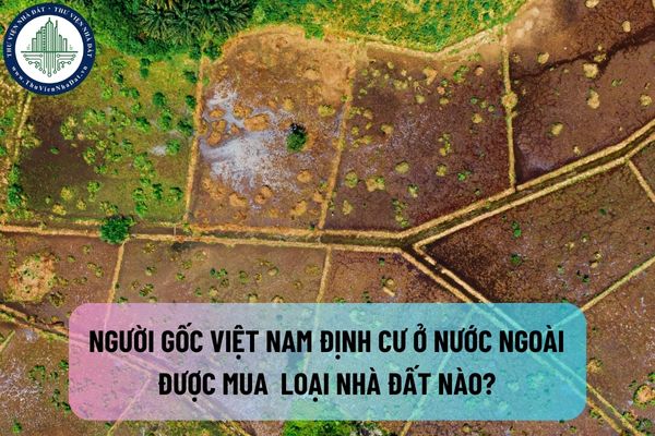 Những loại nhà đất nào người gốc Việt Nam định cư ở nước ngoài được quyền mua tại Việt Nam?