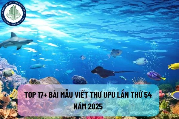 Top 17+ Bài mẫu viết thư UPU lần thứ 54 năm 2025 tưởng tượng bạn là đại dương hay và cảm xúc?