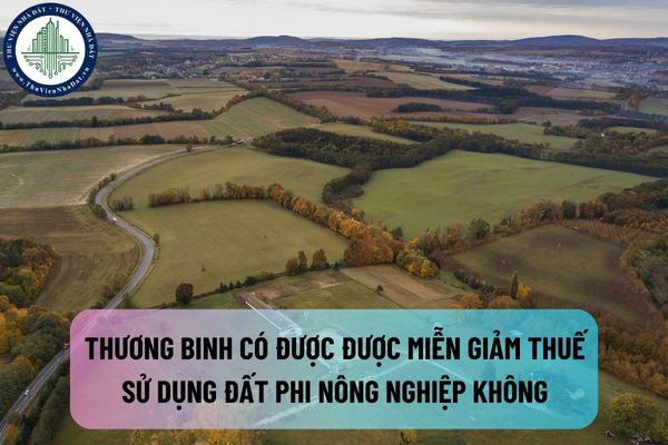 Thương binh có được được miễn giảm thuế sử dụng đất phi nông nghiệp không?