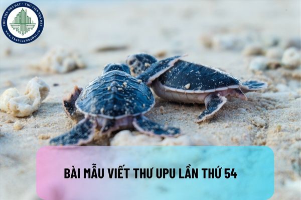 5+ Bài mẫu viết thư UPU lần thứ 54 chọn lọc, hay nhất? Giải thưởng cuộc thi viết thư UPU lần thứ 54 như thế nào?