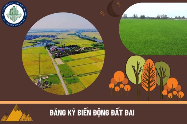 Cần đăng ký biến động đất đai khi cho người thân thuê đất canh tác nông nghiệp không?